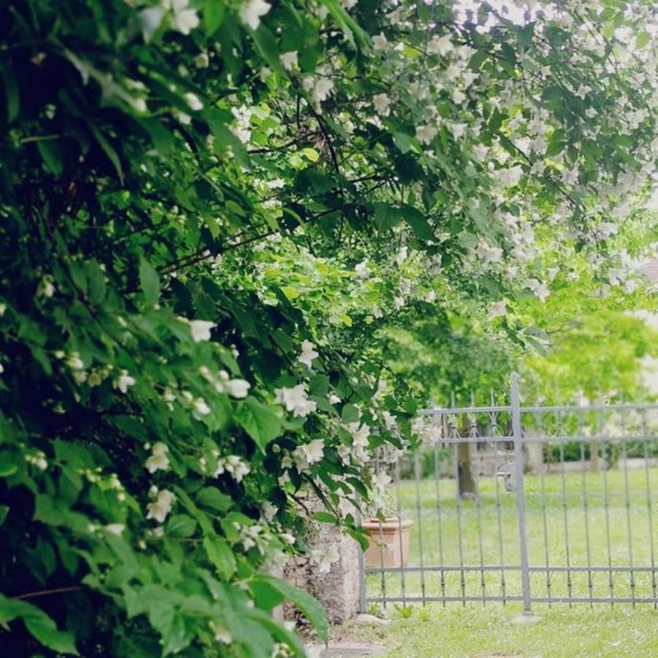كانيفا B&B Ernestine Family Home المظهر الخارجي الصورة