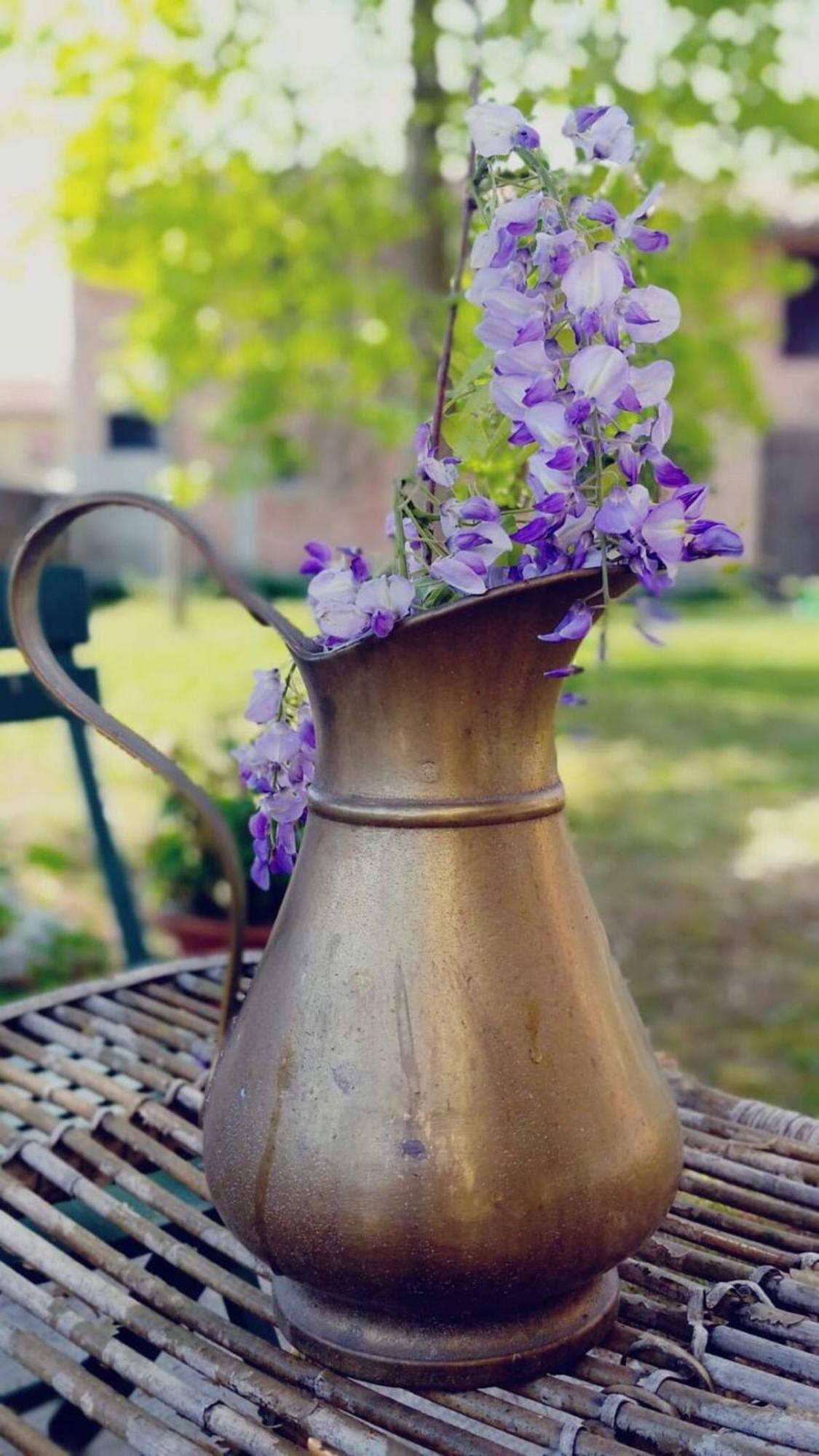 كانيفا B&B Ernestine Family Home المظهر الخارجي الصورة